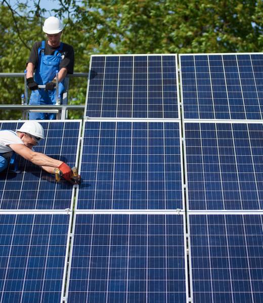 Two technicians working with electrical screwdriver connecting shiny solar photo voltaic panel to metal platform system on green tree thick foliage background. Green energy production concept.